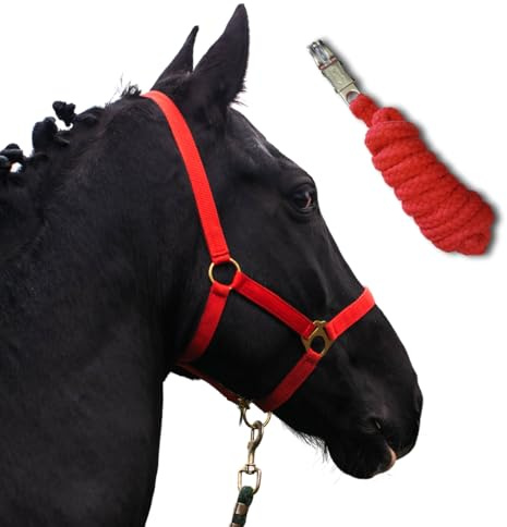 Halfter für Pferde mit Strick | Führstrick Pferd mit Halfter | Halfter Shetty, Pony, Vollblut, Full, X-Full mit Strick (Warmblut, Rot)