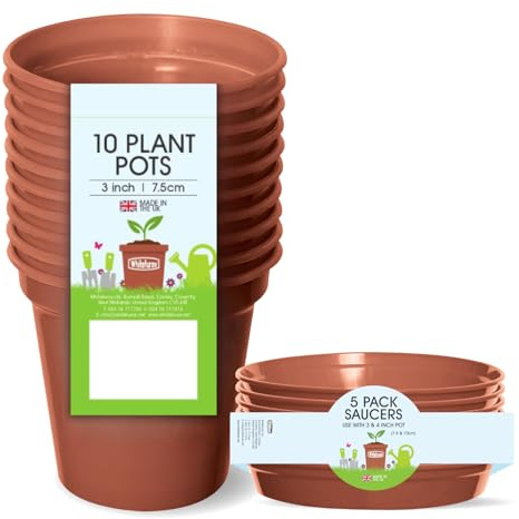 Whitefurze Lot de Pots de Fleurs en Terre Cuite 7,5 cm