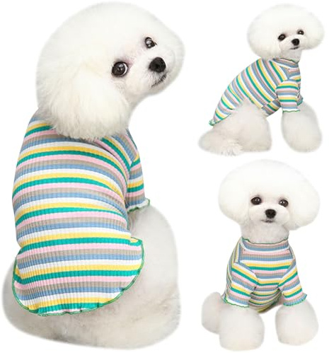 Yaopelky Hundebekleidung für kleine und mittelgroße Hunde, Regenbogen-gestreift, dehnbar, langärmelig, Katzen-T-Shirt, Haustier-Outfits für Chihuahua, Yorkie, Teddy (grüner Rand, M)
