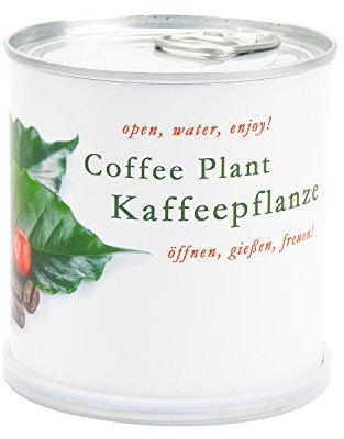 Kaffee - Blumen in der Dose von MacFlowers