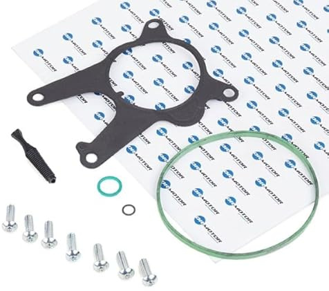 DR.MOTOR AUTOMOTIVE Kit riparazione, Pompa a depressione (Sistema frenante) | Compatibile con: ALFA ROMEO 159, 159 Sportwagon, BRERA, GIULIETTA, MITO, SPIDER, FIAT BRAVO II, CROMA, DOBLO Bus, DOBLO Cargo