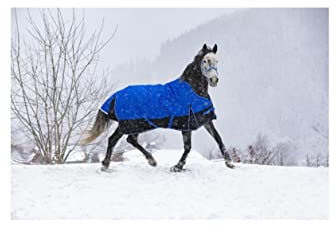 Equithème TYREX 1200D 'Aisance' High Neck 150g - C