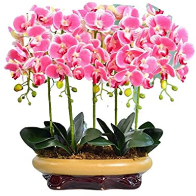 JKJZSALJ Fiori Finti Fiori di Orchidea Artificiali in Vaso di Ceramica, per casa, Stanza, Cucina, Ufficio, Matrimonio, Orchidee Artificiali Che sembrano Vere per Ogni Occasione,Pink
