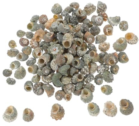 RORPOIR 100stücke Conch Dekorationen Für Aquarien Und DIY-projekte Natürliche Kleine Schnecken Für Hochzeits Und Strandpartys Crab Shell Ersatz