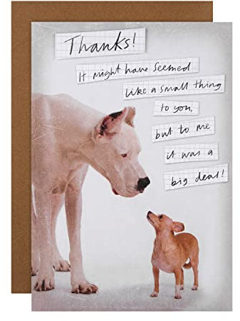 Hallmark Dankeskarte – niedliches Design für große und kleine Hunde