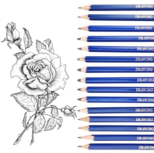 Bleistift Set, 15 Zeichenstifte Set 14B 12B 10B 8B 6B 5B 4B 3B 2B B HB H 2H 3H 4H, Skizzierstifte, Zeichenbleistifte - Künstlerischen Kreationen, für Erwachsene Anfänger Professionelle Zeichnen