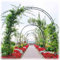 Arco per Rose da interno Esterno, Arco metallo da giardino larghezza 120/140/160/180/200/240/260/280/300/350cm ornamento per arcade Arco per Pianta Rampicanti(160x220cm)