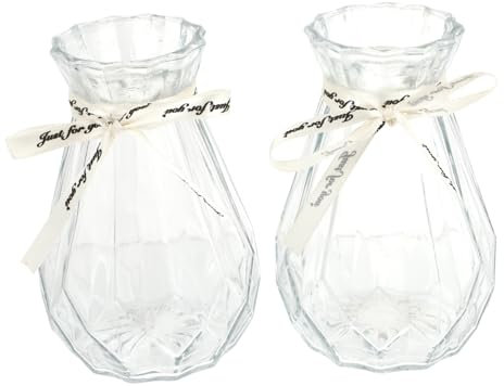 GALPADA 2piezas Jarrón Florero De Vidrio Hidropónico Unidades Jarrones para Plantas Acuáticas Florero De Soporte De Vidrio para Flores