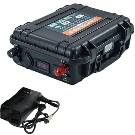 HSSYTZOUL 12V 24V Batterie Au Lithium Propulsion Batterie Au Lithium 100Ah-200Ah Built-in BMS pour Bateau Électrique Moteur Bateau De Pêche Hélice Marine Propulsion Batterie avec Chargeur,12v,100AH