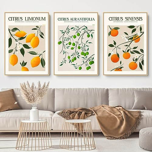 EXQUILEG 3er Stilvolles Citrus Bilder Set Citrus Poster Kunstdrucke Moderne Wandbilder Vintage Wanddeko Ohne Rahmen Premium Für Wohnzimmer Schlafzimmer Esszimmer (30 * 40cm)