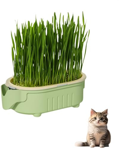 Hydroponic Cat Grass Pot,Cat Grass for Indoor Cats,Catnip Plant,Beginners-Friendly C/at Grass Planter,Pet Snacks Gra/ss for Cats,C/at Plant Pot with Ca/t Gr/ass Se/eds,Soil-Less Watering