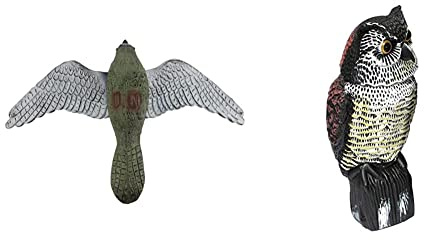 Biotop Halcón espanta pájaros y roedores de 52 cm de envergadura. Ideal contra Las molestas Palomas, mirlos y urracas. &, Búho Espantapájaros, Gira la Cabeza con el Viento, No Necesita Pilas, Marrón