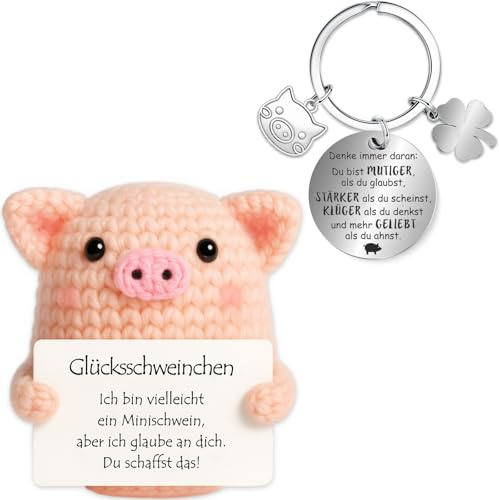 Farbeele Glücksschweinchen und Glücksbringer-Schlüsselanhänger, Einschulung Geschenk, Pocket Hug Positive Figur, MutmacherGeschenk, Glücksbringer Prüfung, Geburtstagsgeschenk