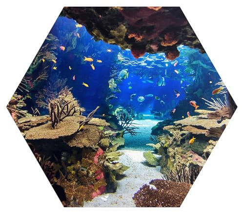 DEQORI Hexagon - Carta da parati autoadesiva da parete, 55 x 47,6 cm, motivo acquario esotico, tela tessile, rimovibile, decorativa e indeformabile, per soggiorno, ufficio, corridoio o cameretta dei