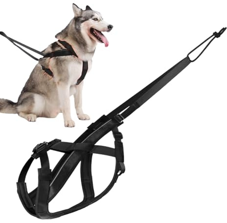 Zuggeschirr für Hunde, reflektierendes großes Hundegeschirr, verstellbares Traktionsseil für Schlitten-Training, Spazierengehen, Laufen, Übung, Sport, Outdoor-Aktivitäten