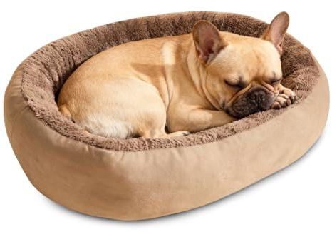 PETCUTE Hundebett Kleine Hunde,Super Weiches Hundekörbchen mit rutschfeste Unterseite,Hundebetten Flauschig,Waschbar Hundematratze mit Erhöhte Ränder,Hundesofa für Hunde Katze,Grau,S