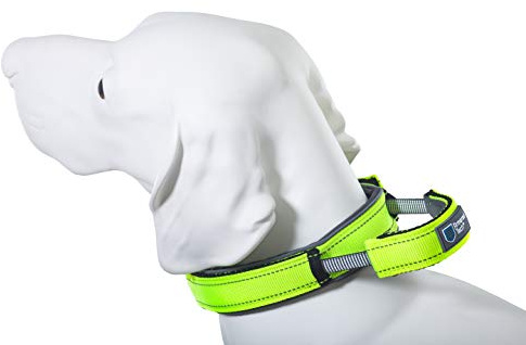 Armored Tech Dog Control Halsband mit integrierter Kurzleine (XL - Halsumfang 51-60 cm, neon grün)