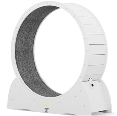 OZWYCY Katzenlaufrad Installationsfreies Katzenlaufband, Katzenrolle, geräuschloses Katzen-Trainingslaufrad, Massivholzspielzeug-Katzenklettergerüst Katzenlaufrad für den Lnnenbereich(White,S)