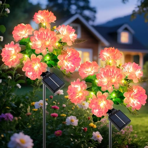 Ninonly Luci Solari Giardino Esterno, 2 Pezzi Crisantemo Lampade Solari con LED Luce Calda, 8 Modi Luce Solare Esterne Impermeabili, Decorazioni Giardino per Patio Terrazzo Cortile Natale