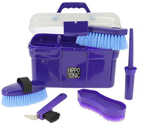 Hippo-Tonic Putzbox, Violett