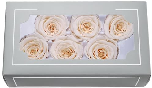 FORTTS A Grade 5–6 cm konservierter Rosenkopf, hochwertige, natürliche, ewige echte Rosen, unsterbliche Rose, hält 3 bis 5 Jahre, für Mütter, Valentinstag, Geburtstag, Hochzeit, Zuhause