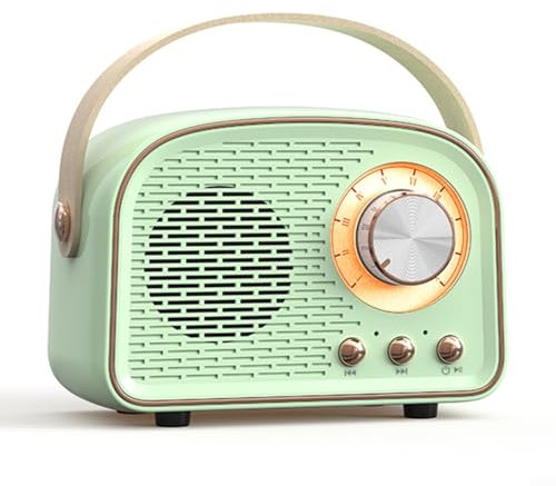 PETSTIBLE Mini-Bluetooth-Lautsprecher mit FM-Radio, Retro-Radio, Bluetooth-Lautsprecher, wiederaufladbar, Bluetooth 5.0, unterstützt USB/TF/AUX/Freisprecheinrichtung (grünes Gras)