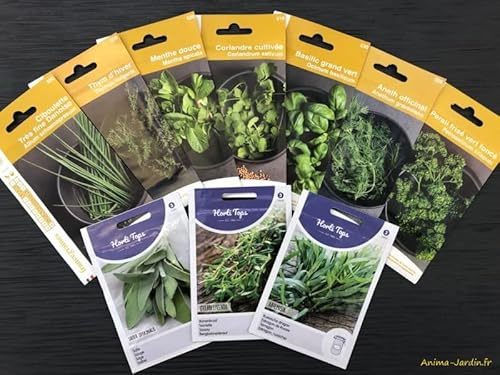 Lot de 10 sachets de graines aromatiques, plantes aromatiques