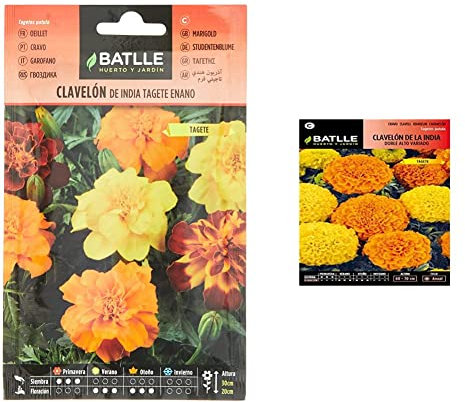 Semillas Batlle Clavelon de India TAGETE Enano & Clavelon India Doble alt Variado