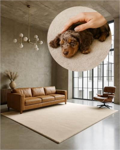 TEXMAXX Weicher Kurzflor Teppich Wohnzimmer mit rutschhemmender Rückseite (60 x 110 cm) - Modern für Flur, Esszimmer und als Schlafzimmer Teppich in Beige - Waschbar bis 30 Grad