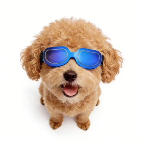 ENJOYING Lunettes de soleil pour chiens de petite race, anti-UV, coupe-vent, protection des yeux, pour la conduite du vélo, sangles de tête réglables, bleu cool
