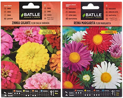 Semillas Batlle - Zinnia GIGANTE flor DALIA vda & Reina Marg. FLOR MARGARITA