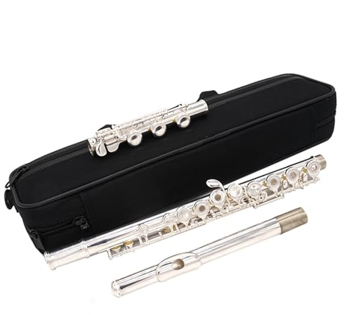 Student 17-Loch Offenes Und Geschlossenes Loch Dual-Purpose-Flöte Instrument C-Taste Weiße Kupfer Versilberte Flöte Querflöte kit
