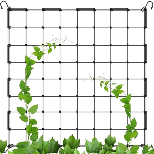yuejuhe Red de Enrejado para Plantas, Malla Elástica para Plantas Trepadoras con 4 Ganchos, Red de Tienda de Cultivo para Jardín Frutas Verduras Flores (90 x 90 cm)