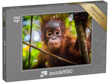 puzzleYOU: Puzzle 48 Teile „Das niedlichste Orang-Utan-Baby der Welt blickt in Borneo in die Kamera“ – aus der Puzzle-Kollektion Orang-Utan, Tiere in Dschungel & Regenwald