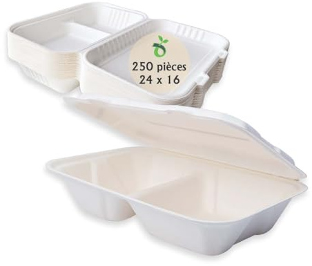 ECOPICNIC Lot de 250 boîtes en Canne à Sucre à 2 Compartiments 240 * 162 * 61 mm | Boîtes Alimentaires biodégradables jetables avec Couvercle, barquettes écologiques pour Repas à emporter