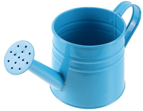 Arrosoir pour Plantes Succulentes Intérieur Et Extérieur avec Bec Verseur Pot D'arrosage par Pulvérisation Arrosoir À Fleurs