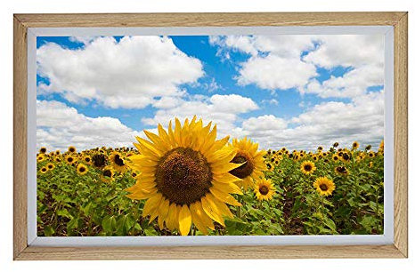 Cornice per Foto Digitale in Legno Cornice per Foto a Parete da 21,5 Pollici / 27 Pollici / 32 Pollici Cornice per Foto Elettronica per Macchina pubblicitaria Display LCD a LED, sottotitoli a scorri