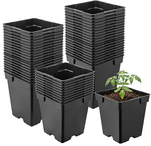 Garronda Pot de Fleur Carré en Plastique 11 × H 12 cm (1L) Lot 50 Godets Semis Pots de Pépinière avec Drainage Résistants Intempéries pour Culture Plantes Jardin Serre Intérieur Extérieur GD-0199