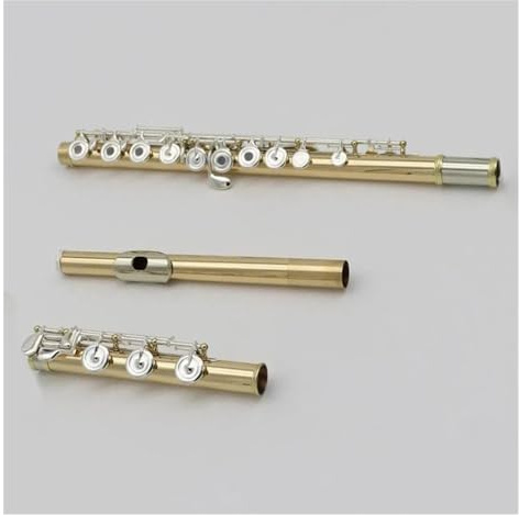 Professionelle Querflöte Französischer Stil, 17 Löcher, Offene Löcher, Gold-Silber-Legierungskörper, Versilberte Tasten, C-Ton-Flöte Mit Koffer