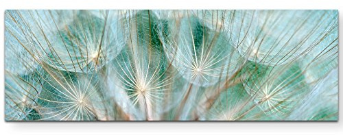 Leinwandbilder | Bilder Leinwand 150x50cm Pusteblume – Nahaufnahme