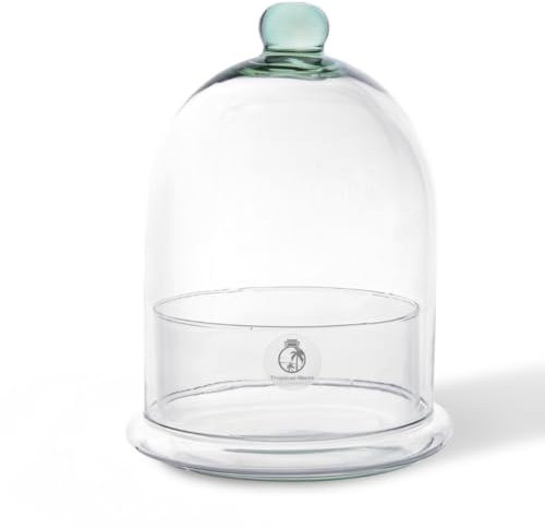 Closed Glass Terrarium container with Dome Lid (H:25cm) – Hand-Blown Clear Glass Container for Indoor Ecosystems – Decorative Tabletop Plant Display Jar for Making Your Own Terrarium
