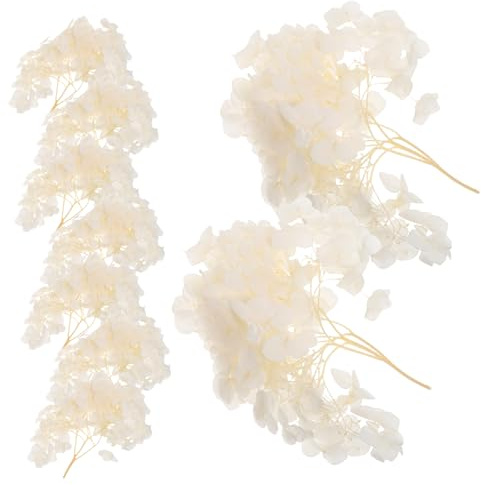 Toyvian di Ortensia Essiccati e Conservati Naturali per Decorazioni Matrimonio Centrotavola Casa e Giardino Confetti per Feste e Artigianato Creativo
