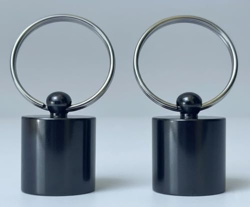 Kompatibel mit Petsafe Staywell, magnetischer Halsbandschlüssel, 2 Stück, selektiver Einstieg, praktisch, Mikrochip-Alternative, 400 und 900 Serie