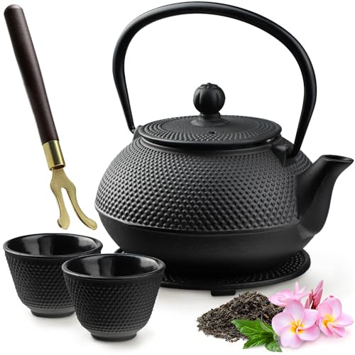 KADAX Théière Japonaise en Fonte de 850 ml avec Intérieur Émaillé, Bouilloire avec Deux Tasses et Infuseur pour Thé en Vrac, Service à Thé Complet (Noir)