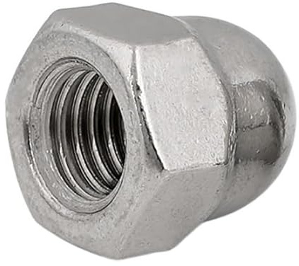 1/2/3/5/10 Stück Linksgewinde Hex Acorn Hutmutter 304 Edelstahl M6 M8 M10 M12 M16 Reverse Tooth Dome Cover Hexagon Dekorative Muttern(M6 x10Pcs)