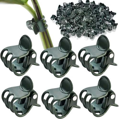 Orchideen Klammern Pflanzenclips, Wiederverwendbare Klein Pflanzenklammern,Dunkelgrüne Orchideen Clips Pflanzenstützclip für Unterstützen und Halten Garten Pflanzen Gemüsefrucht (100 Stück)