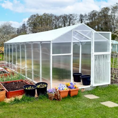FRANCE SERRES - Serre de Jardin 12,7m² | Polycarbonate 6,06x2,10m | | | 1 Porte à Double Battant sur Chaque Pignon