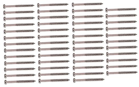 Bass Tonabnehmer Federschrauben 50 Stück für Pb Jb, Stahl Silber | Einfache Montage, Ersatzteil für Tonabnehmer, Robuste Ausführung, Zubehör für E Bass, 2,5mm