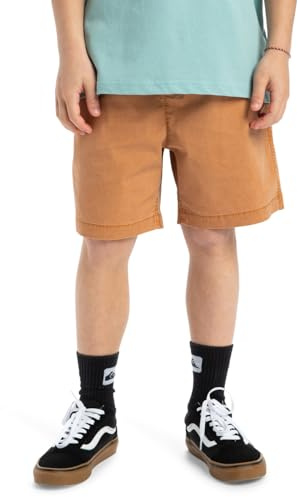 Quiksilver, Taxer Pantalones Cortos, Niño, 10 años, BRAN