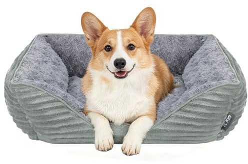 KYG Hundebett Kleine Hunde, Katzenbett, Hundekorb Waschbar, Flauschig HundeköRbchen, Weich und Warm Hundesofa, 63 * 55 * 19cm